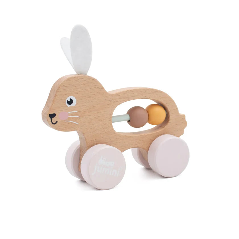 Jumini Bunny push along