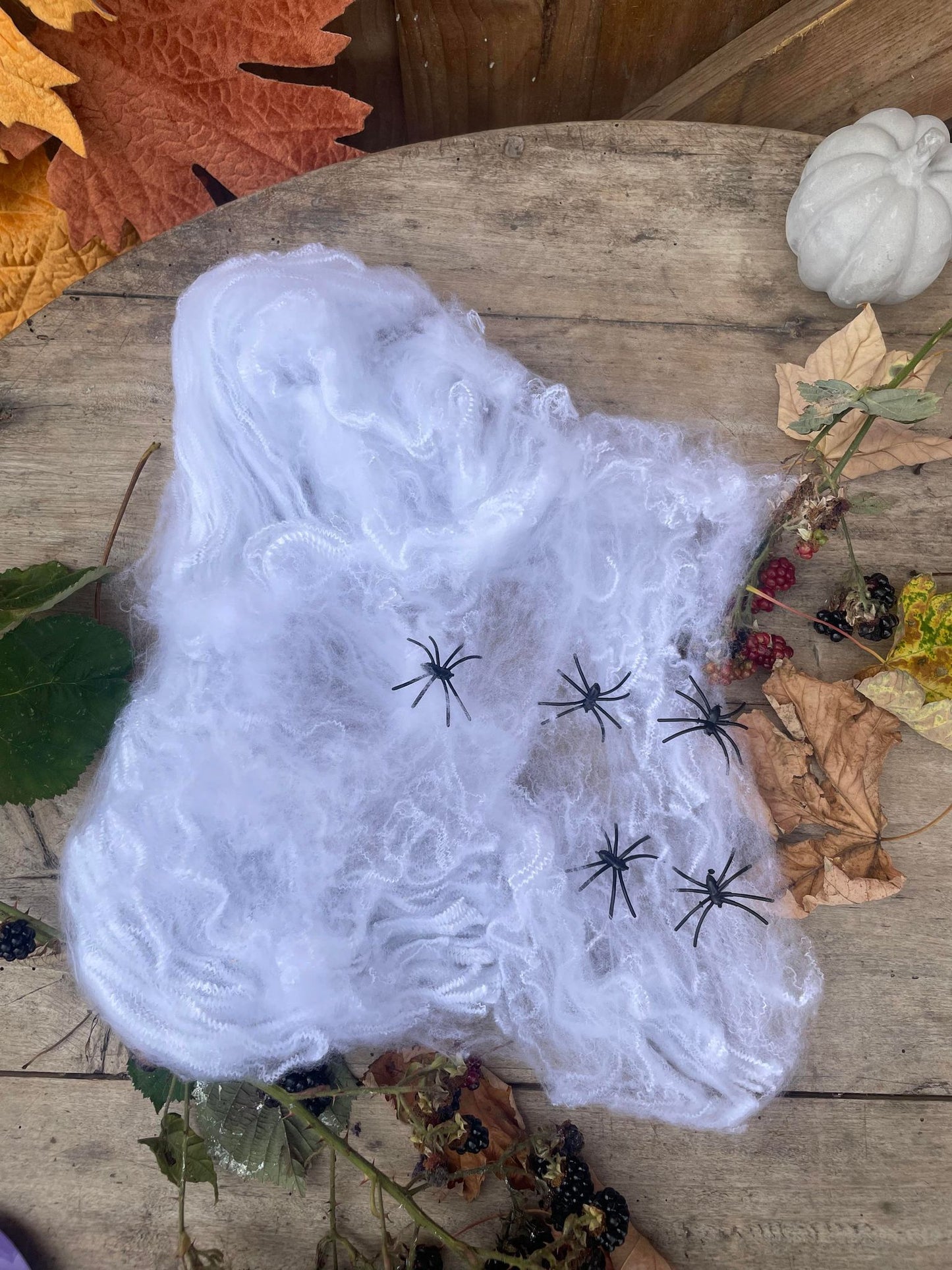 Spiders Web with 5 Spiders