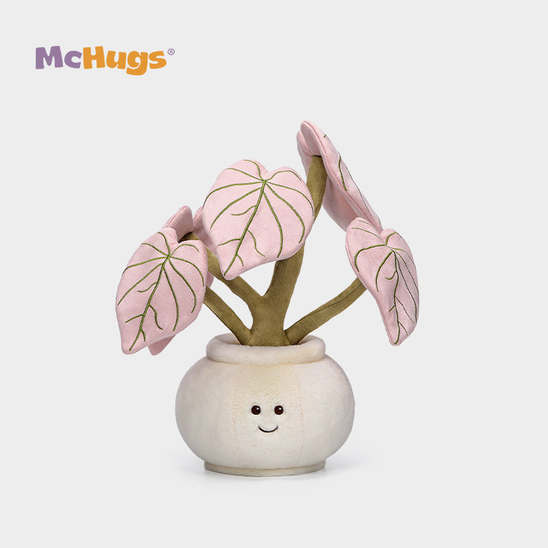 Pink Alocasia Odora