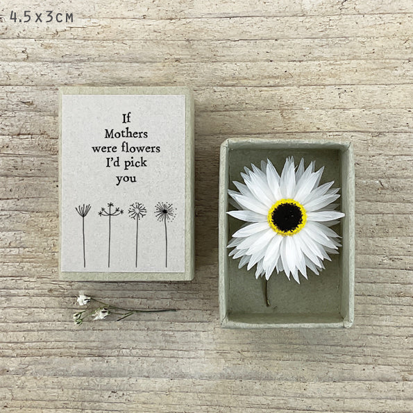 Dried flower matchbox-If mothers were flowers