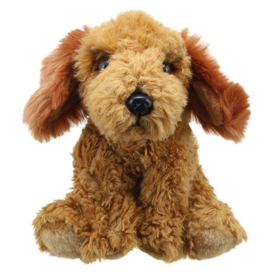 Wilberry Cockapoo