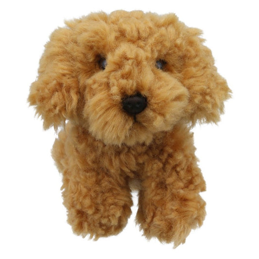 Wilberry Minis- Cockapoo