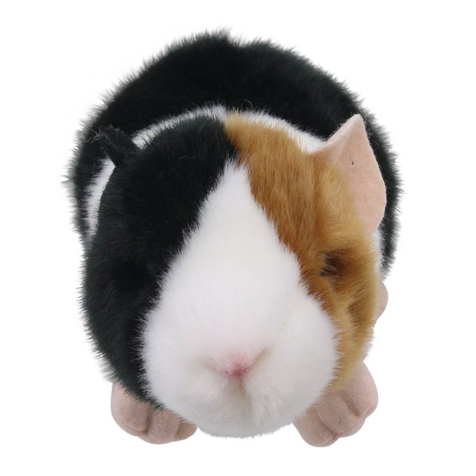 Guinea Pig – Wilberry Minis