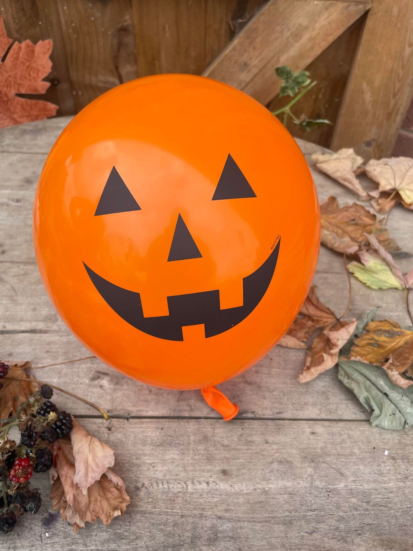 Pack of 6 Pumpkin Balloons