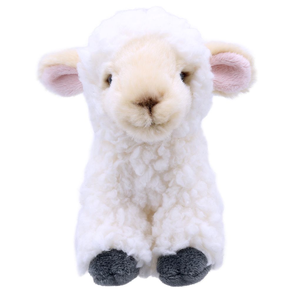 Wilberry Minis- Lamb