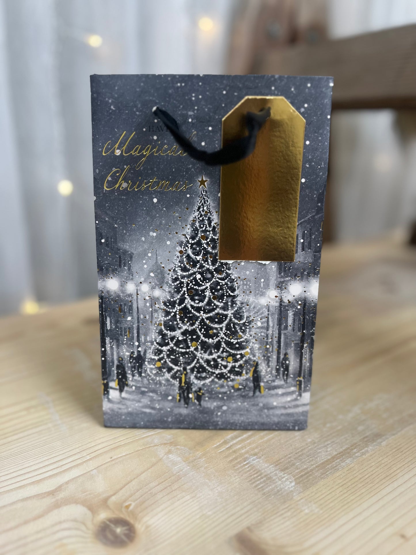 Have a magical Christmas gift bag- Small