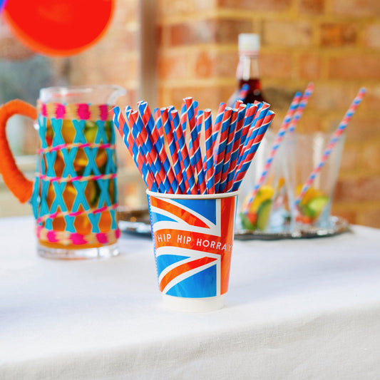 Pack of 30 Paper Straws