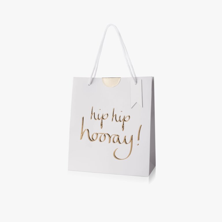 Katie Loxton Gift Bag - Different designs